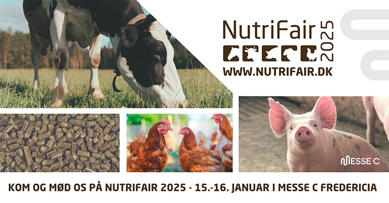 NutriFair2025DK_web